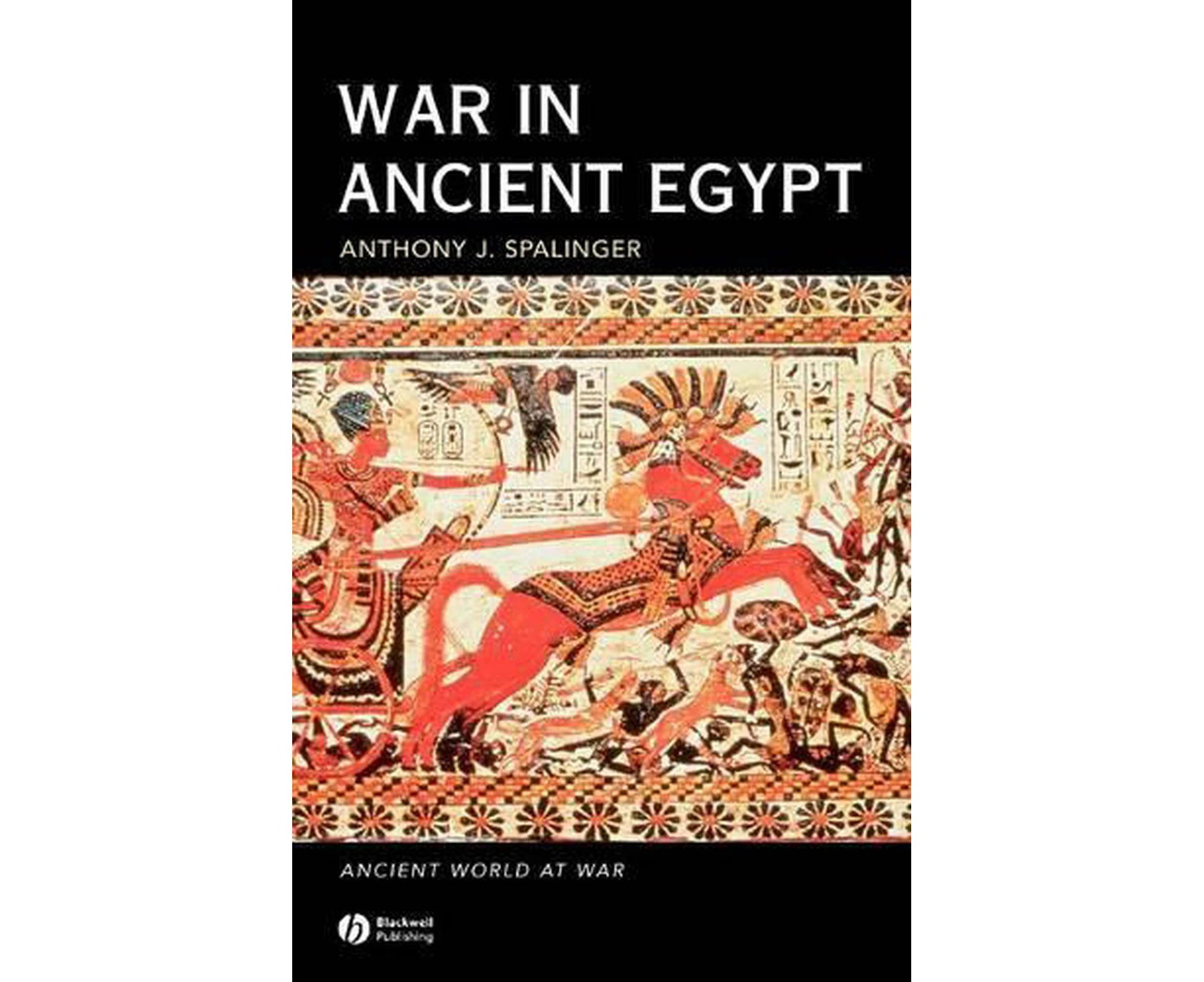 War in Ancient Egypt