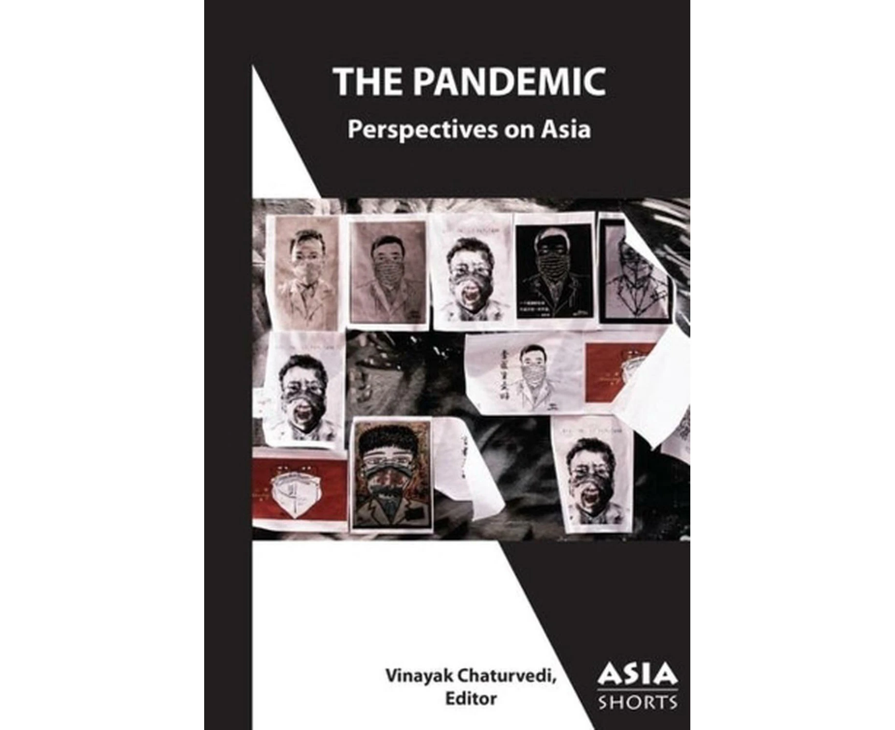 The Pandemic  Perspectives on Asia