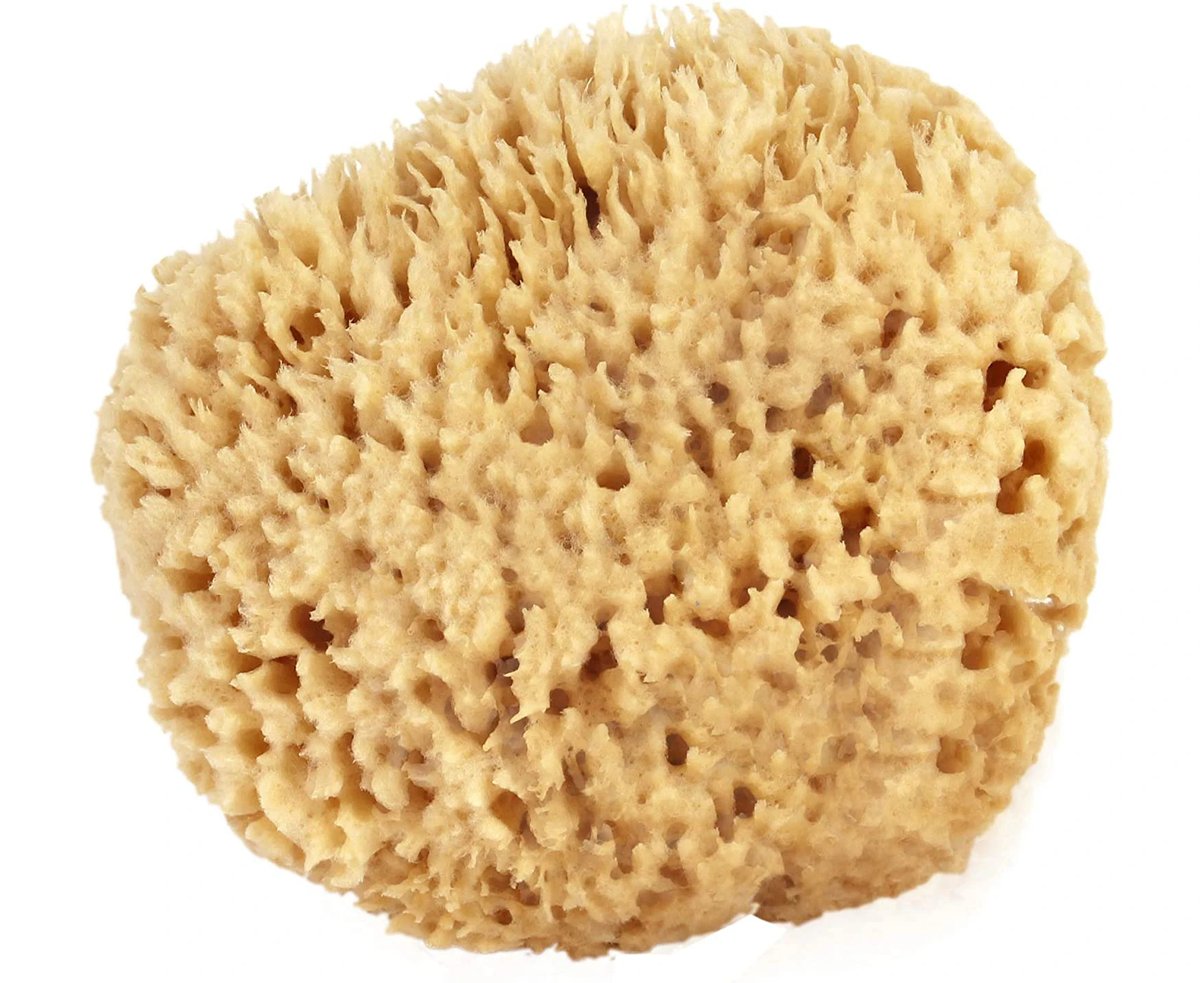 Sea Wool Sponge 3.0-3.5" (Large) Natural Renewable Resource