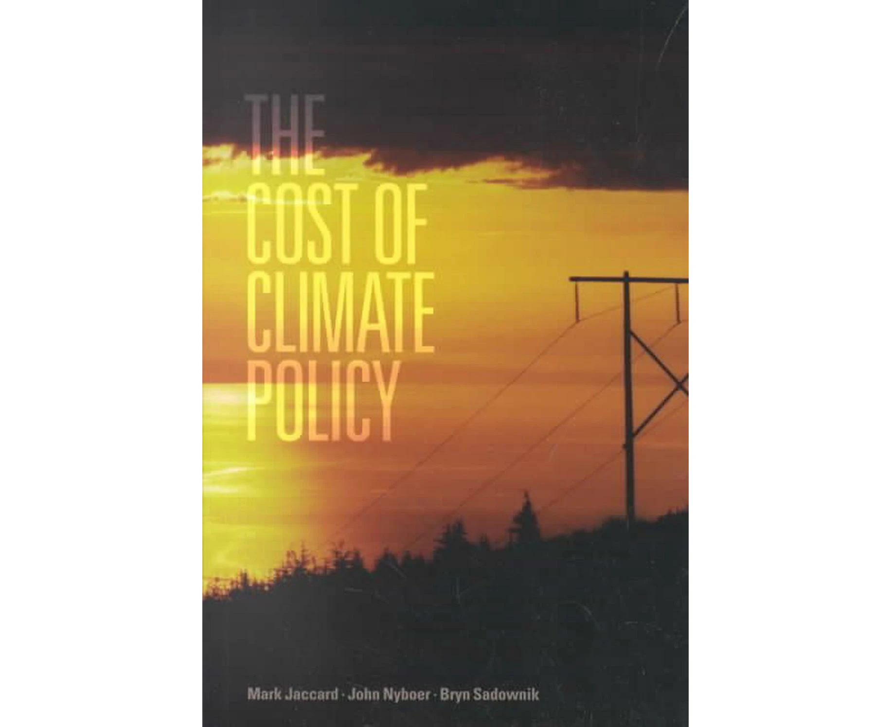 The Cost of Climate Policy