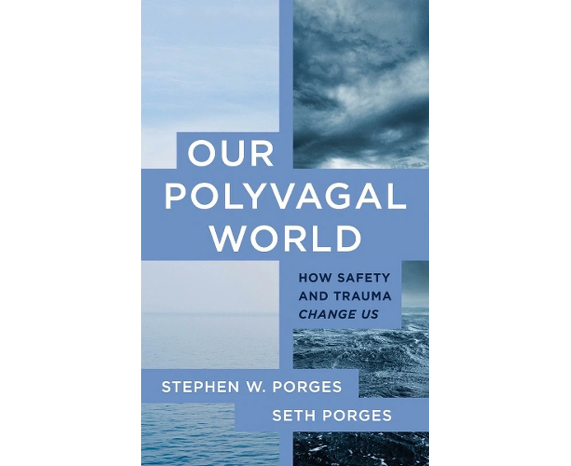 Our Polyvagal World