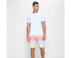 Target Multi Stripe Boardshorts