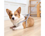 Small and medium-sized cats and dogs I-shaped chest strap traction rope