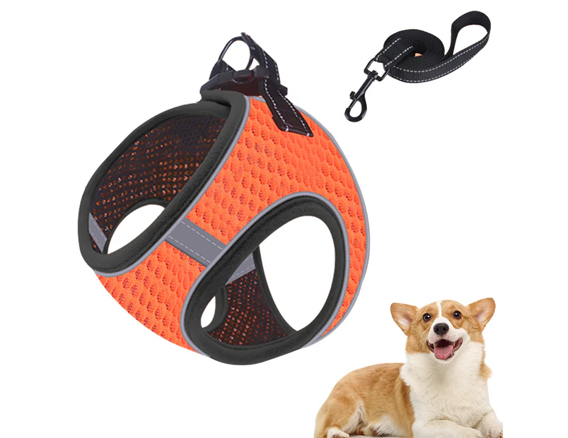 Reflective Dog Leash with  Handle,  Supports Small, Medium, and Large Breed Puppies