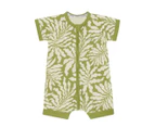 Bonds Baby/Toddler Short Sleeve Zip Romper - Sunshine Tropics/Khaki