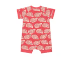 Bonds Baby/Toddler Short Sleeve Zip Romper - Seashell Symphony/Red