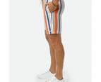 Target Stripe Volley Shorts - Piping Hot