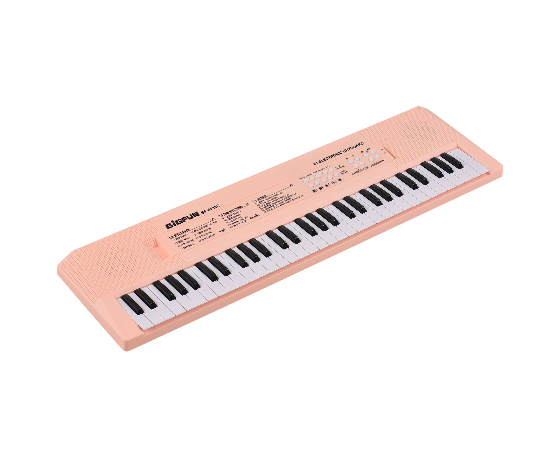 61 Key Electronic Keyboard Piano Musical Instrument with Microphone Dual Power Mode Portable Music Piano Keyboard 6 Demonstration Songs 5 Different Rhythms