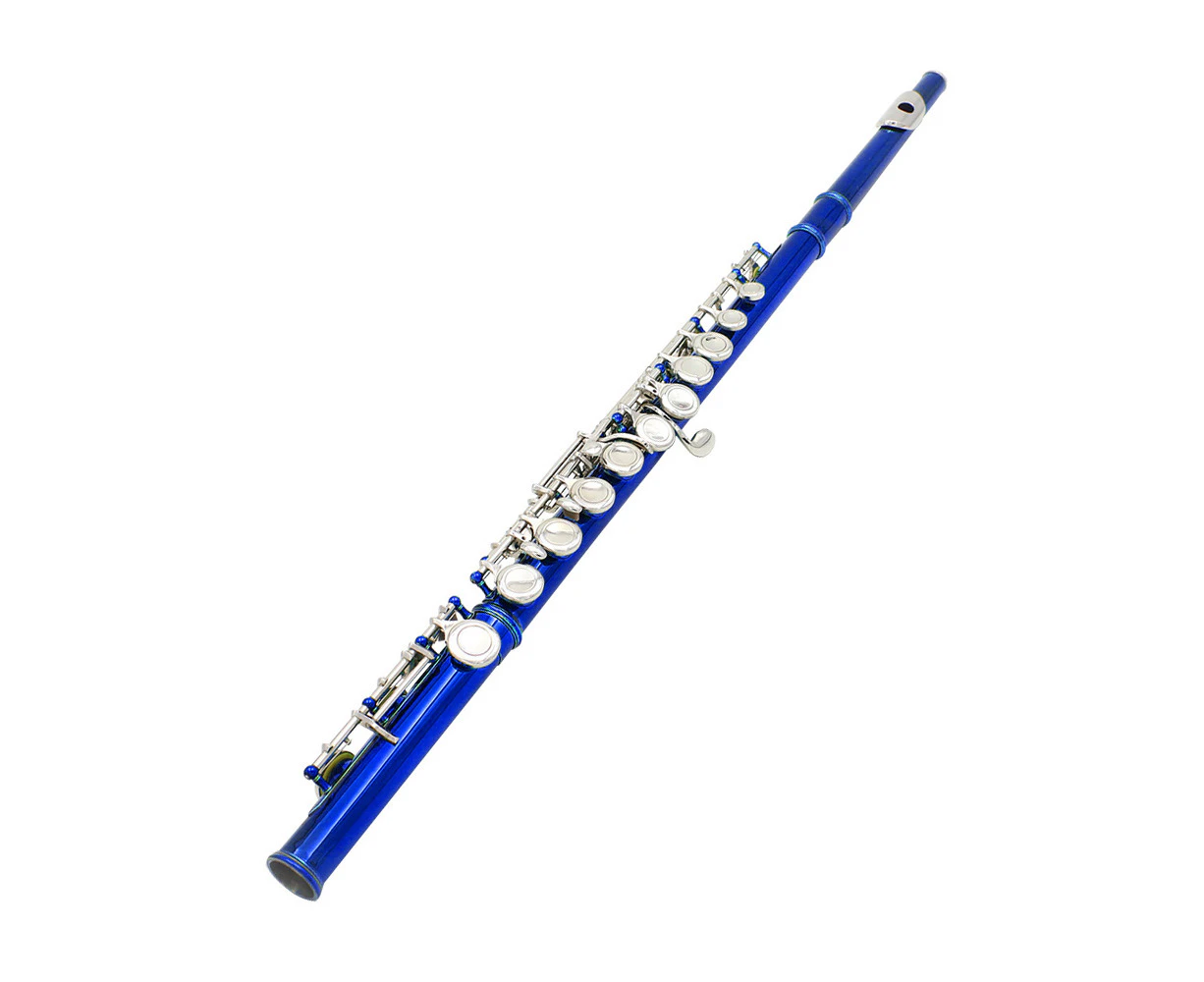 Western Concert Flute Cupronickel Nicke Plated 16 Holes C Key Woodwind Instrument with Cleaning Cloth Stick Gloves Mini Screwdriver Padded Case