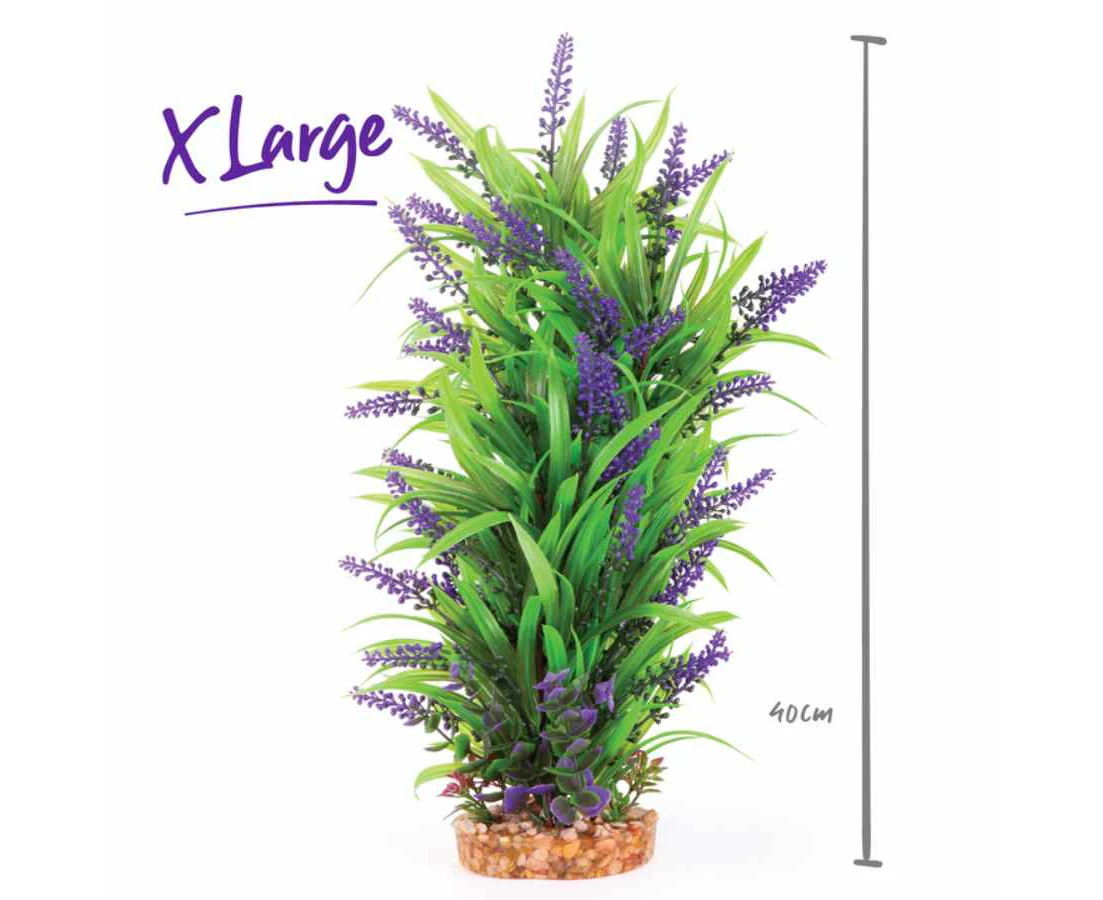 Kazoo Combination Plant Thin Leaf With Purple Flower