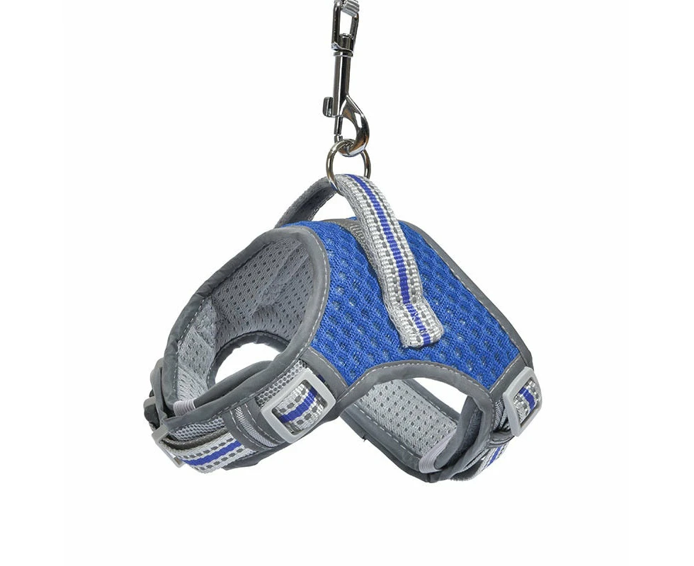 No Pull Air Mesh Dog Harness & Leash Set - Blue