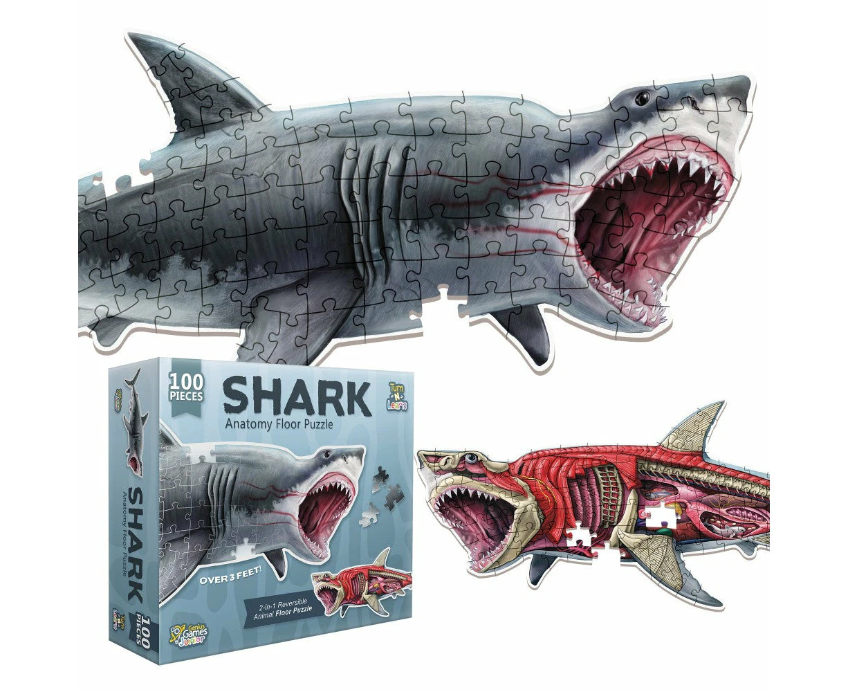 Anatomy Floor Puzzle: Shark