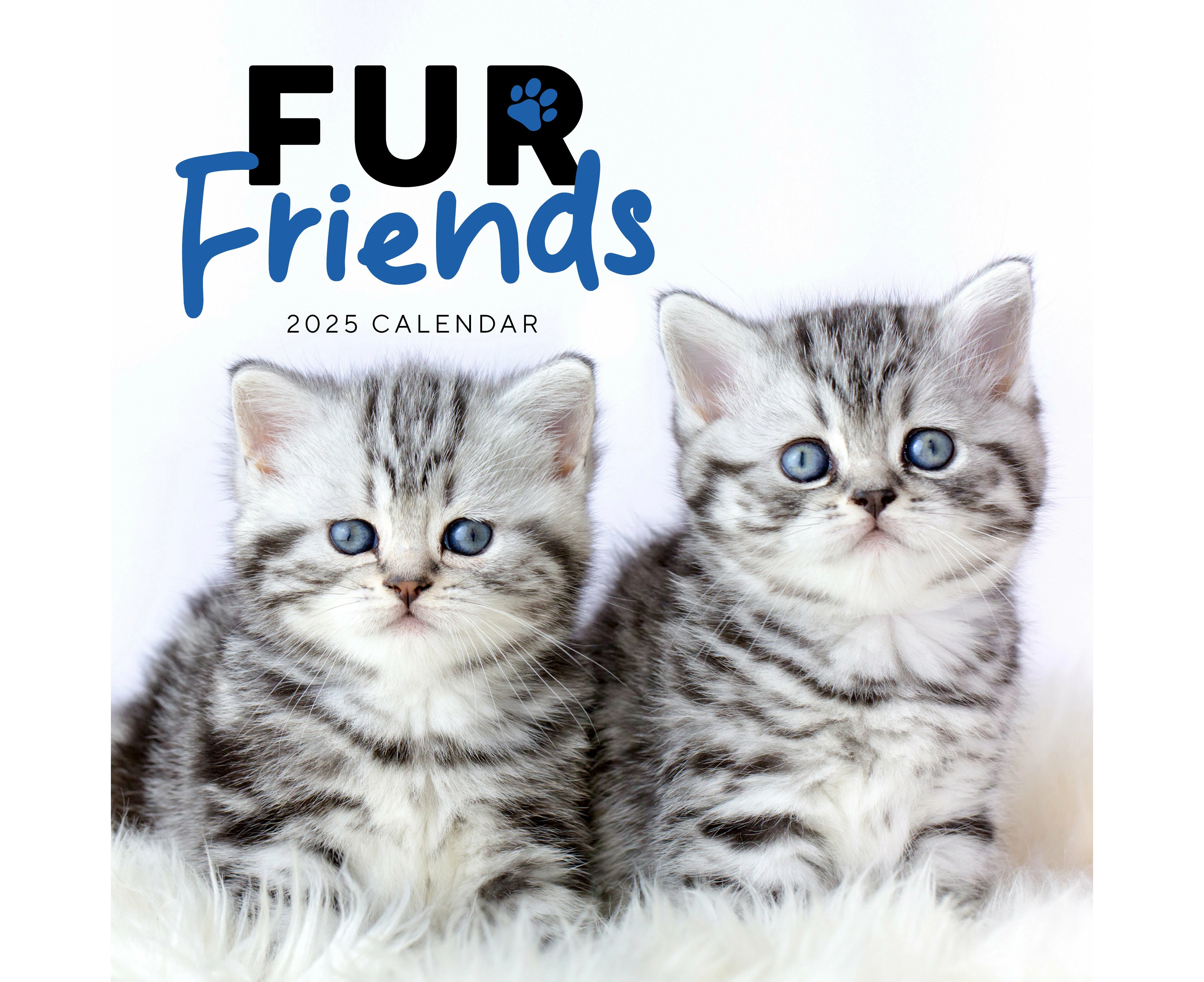 Fur Friends 2025 Calendar