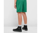 NBA Team Mesh Basketball Shorts