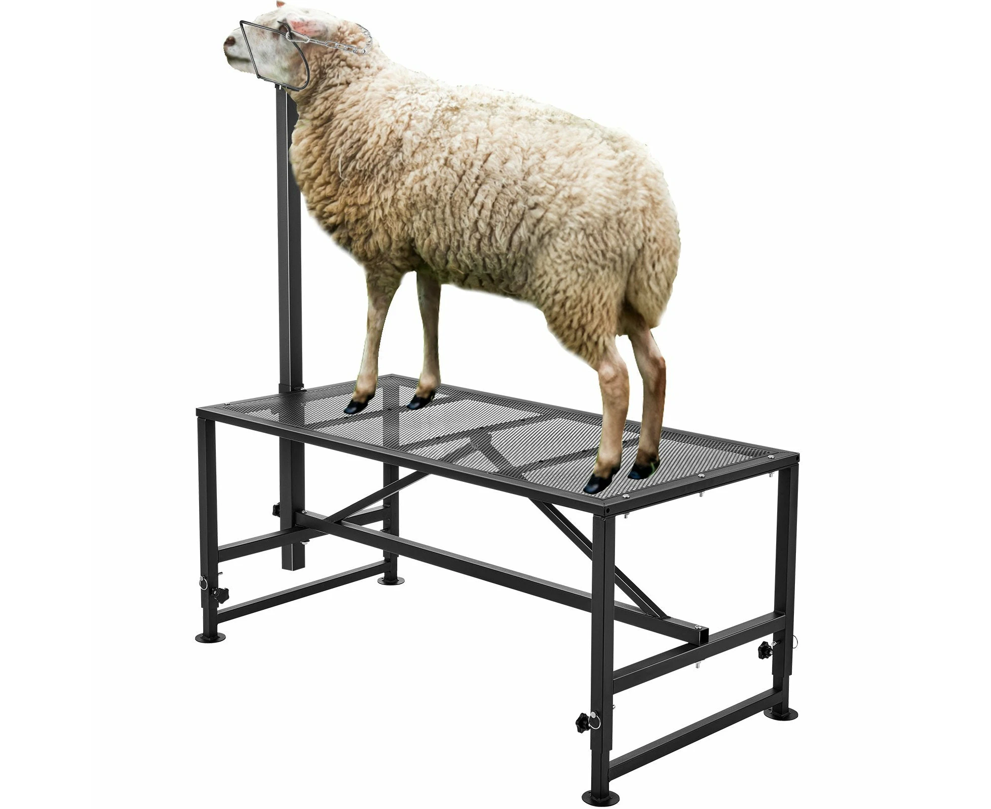 VEVOR Goat & Sheep Stand, 47x23 inch Livestock Stand, Metal Livestock Milking and