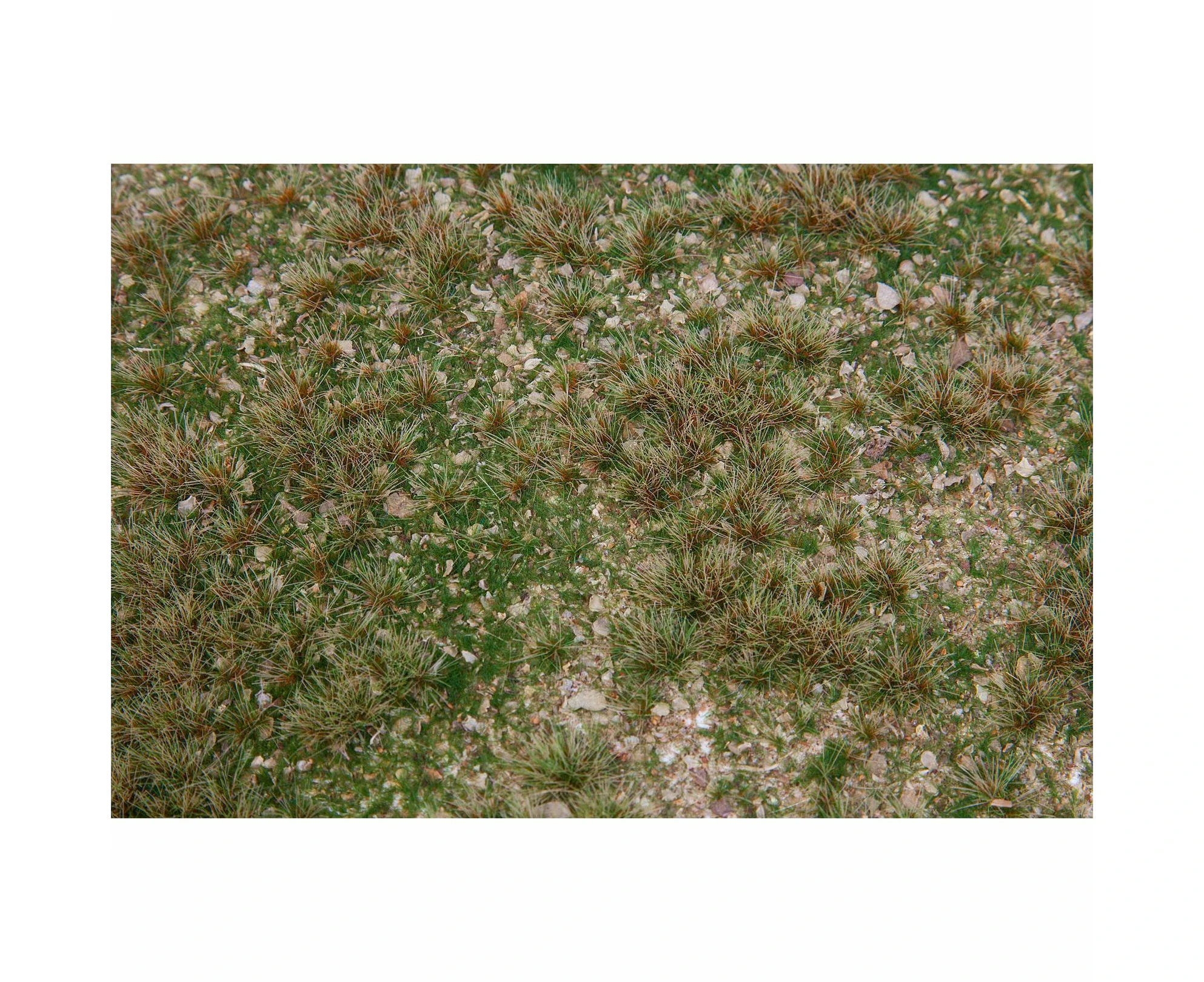 Faller PREMIUM Landscape segment Field of wild herbs