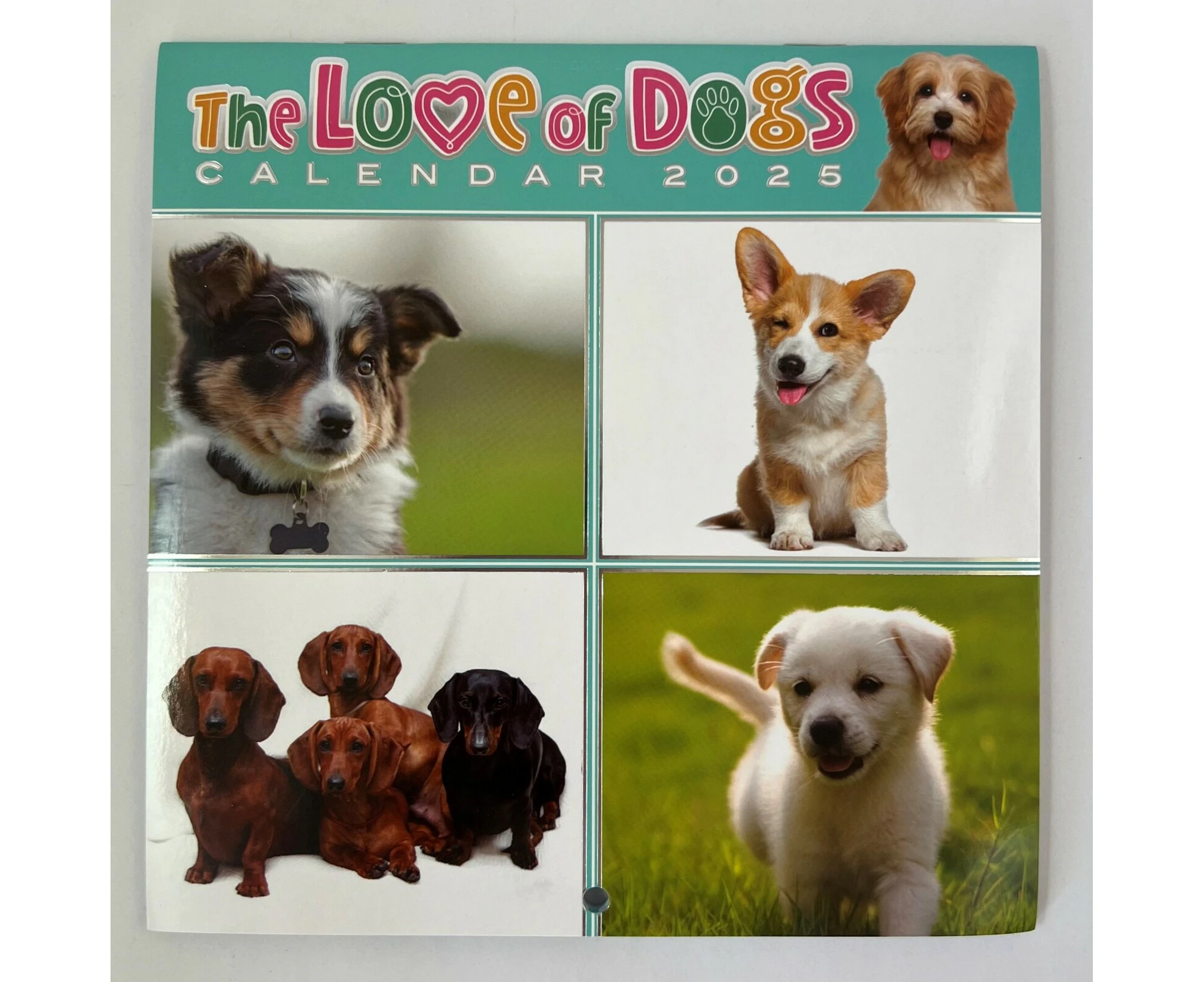 2025 Calendar Love of Dogs Square Wall by OzCorp CAL187