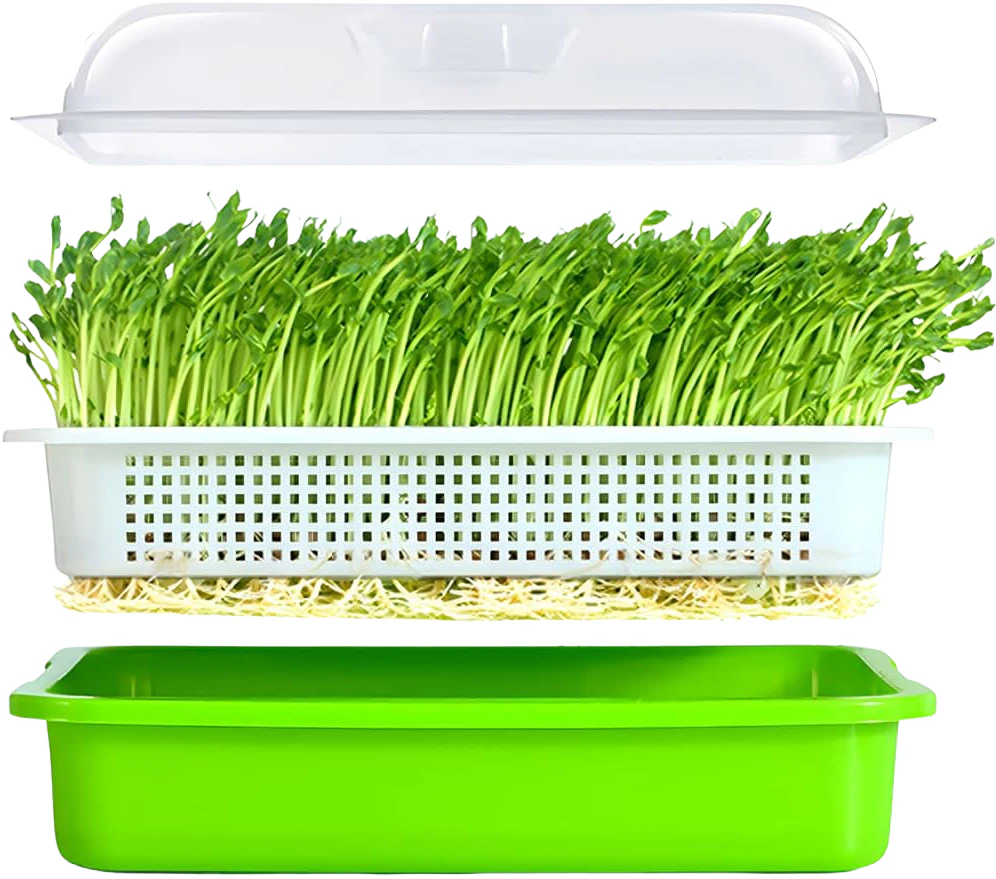 Seed Sprouter Tray, BPA-Free PP, Large Capacity 13.4x9.84x4.72 in, Soil-Free Wheatgrass Grower Kit with Lid for Healthy Sprouts, Green