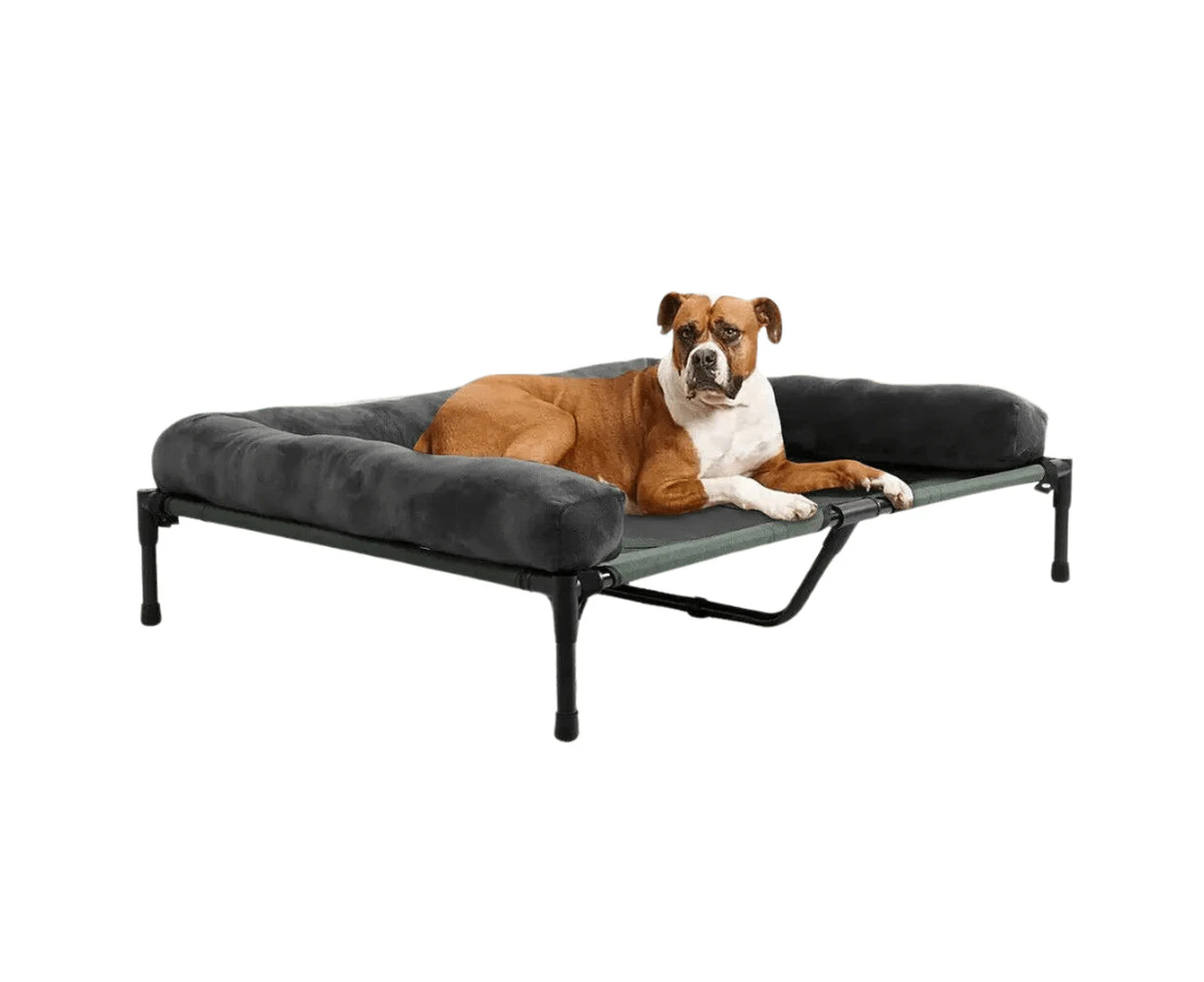 Elevated Dog Bed - Portable and Comfortable Sleeping Solution