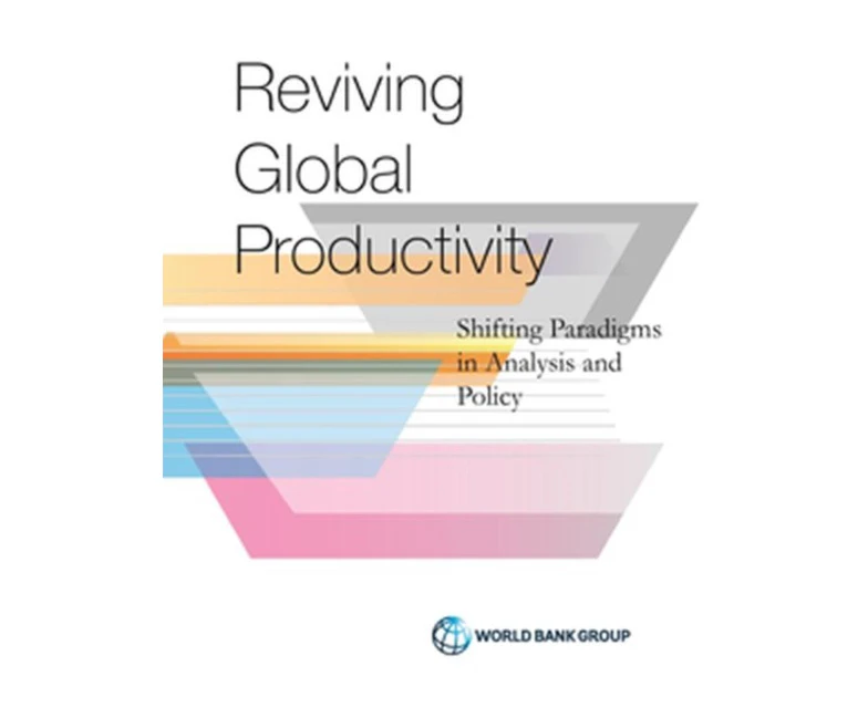 Productivity revisited by William F. Maloney