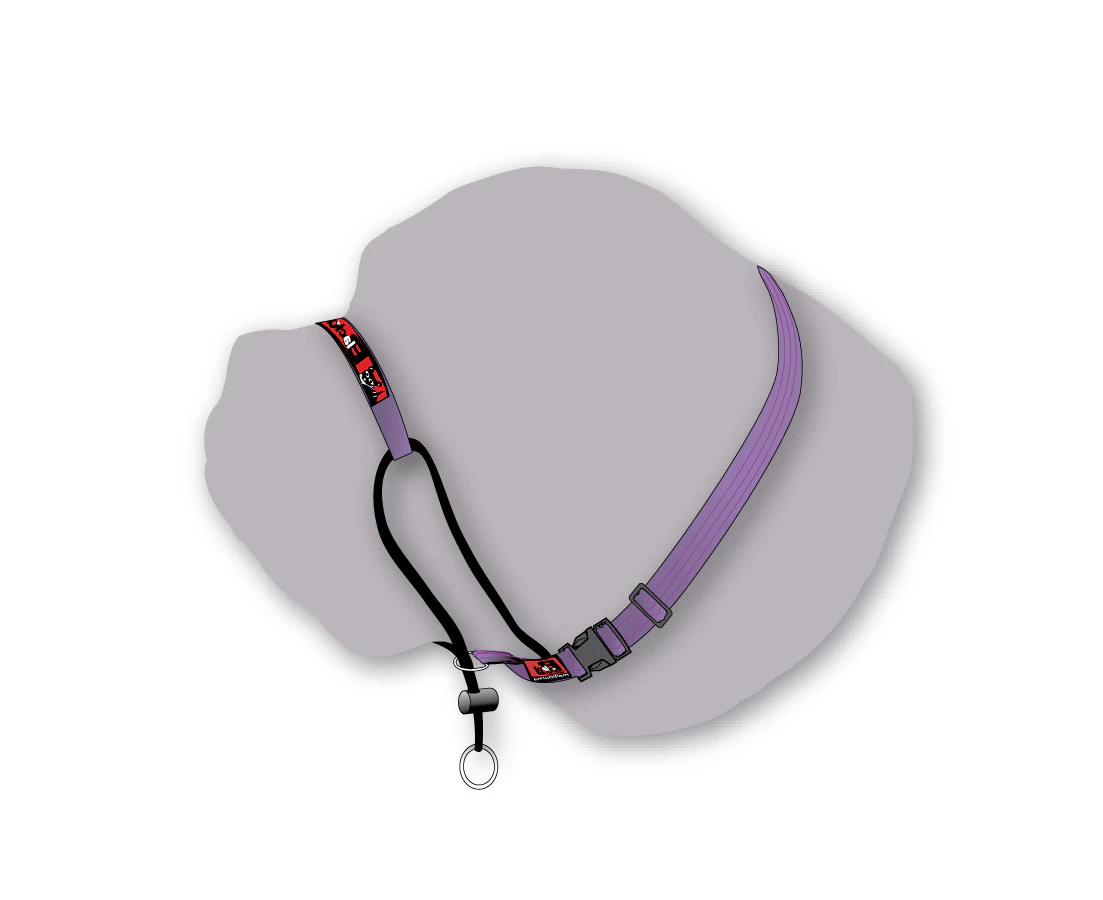 Black Dog Training Head Halter with Chin Clip - Medium - Purple