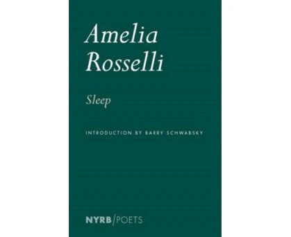 Sleep by Amelia Rosselli