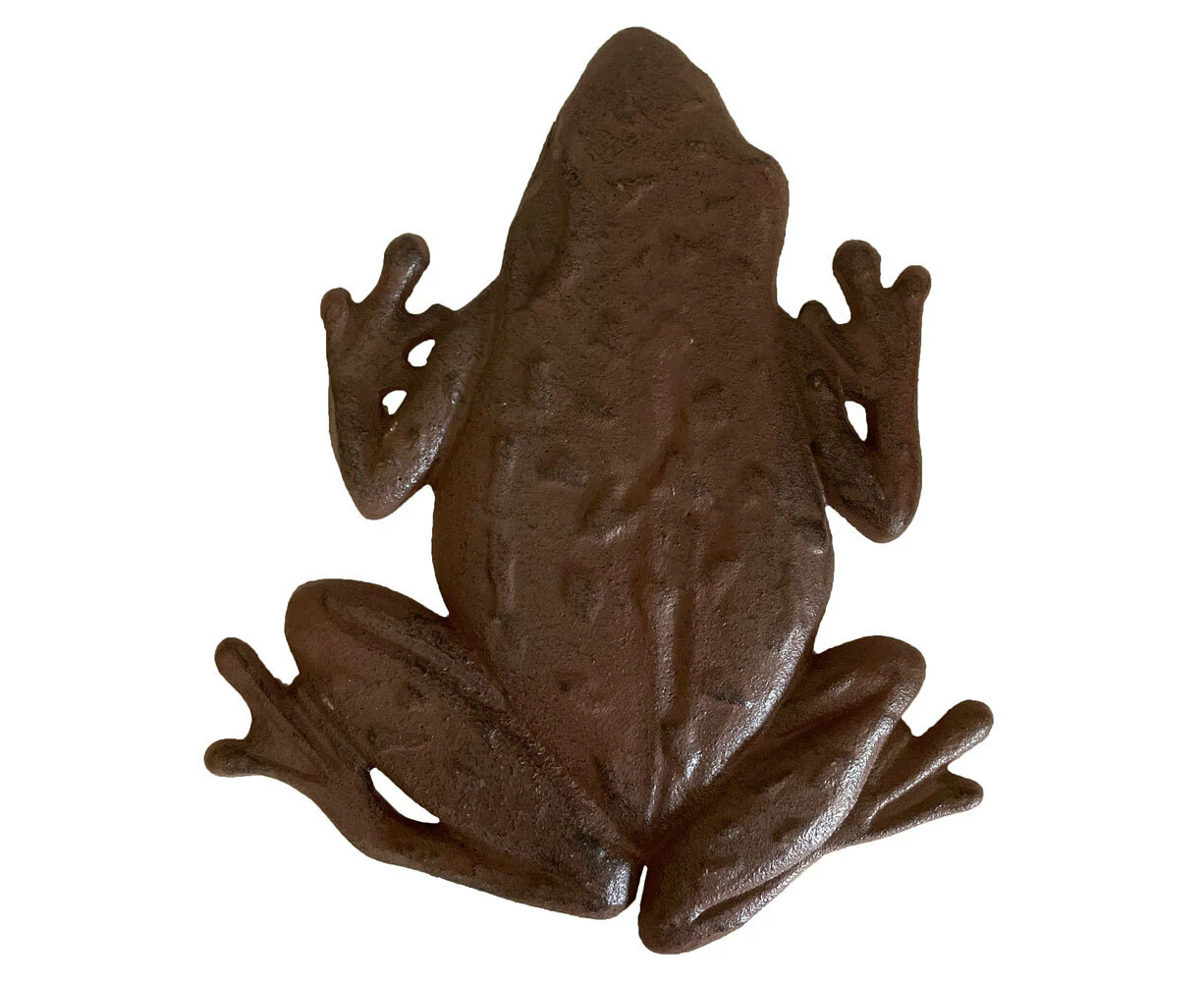 Mr Gecko Cast Iron Frog Wall Art Stepping Stone Antique Brown Decor