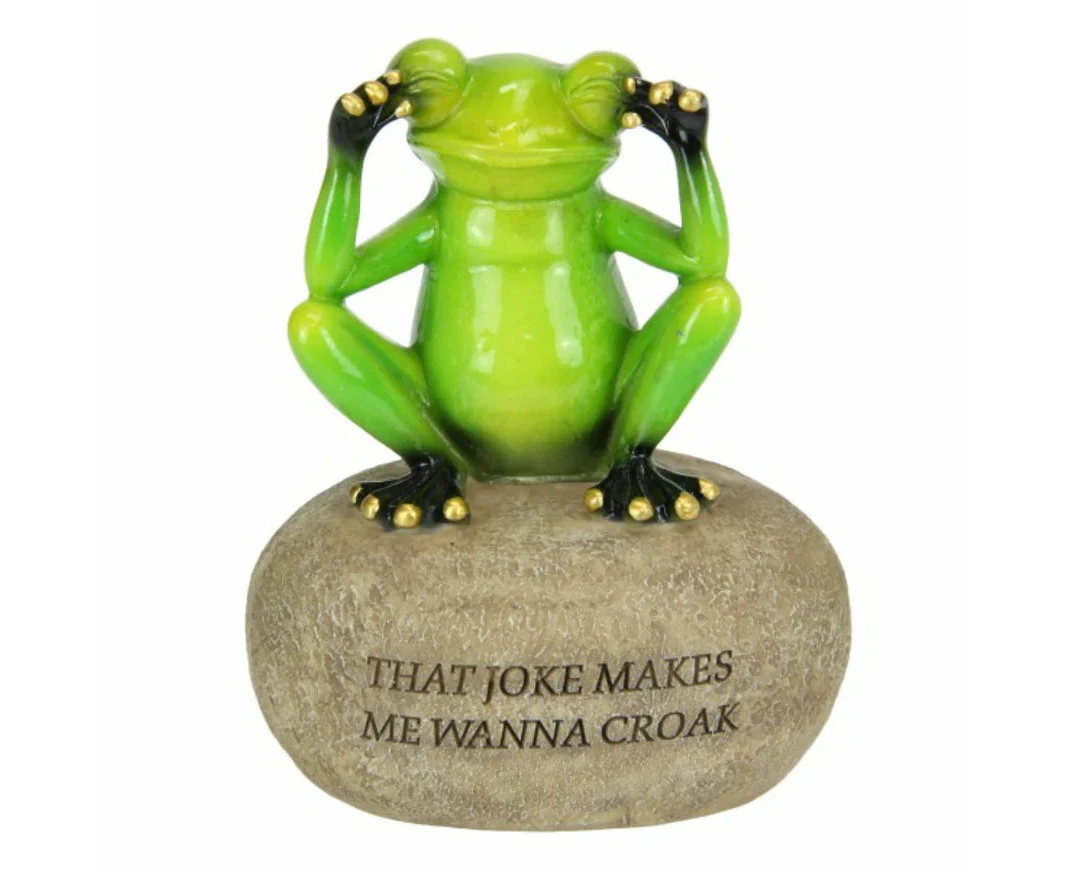 FROG ON ROCK WITH FUNNY QUOTE -12cm