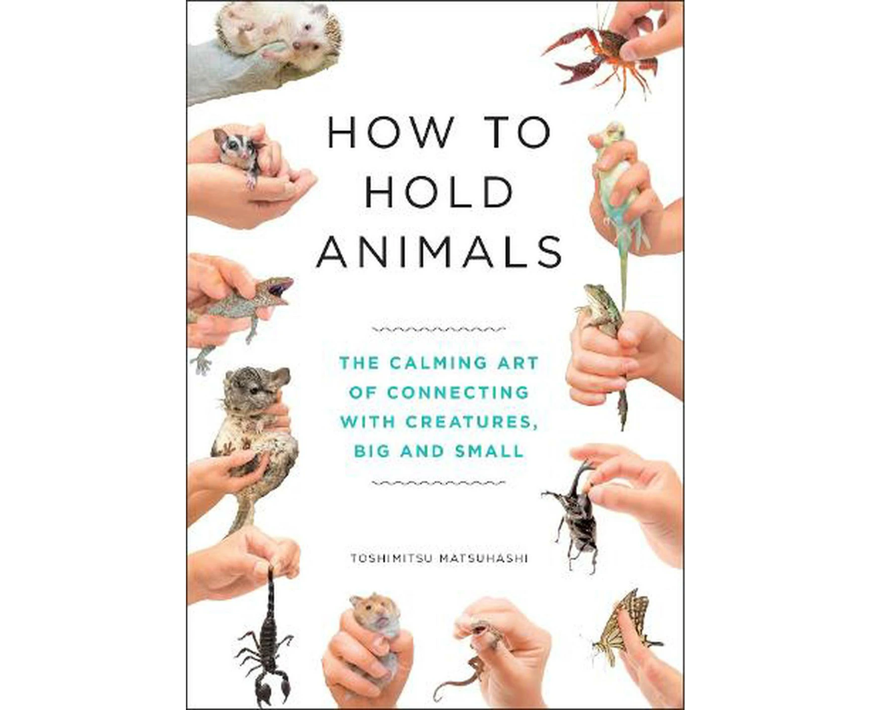 How to Hold Animals