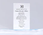 Daniel Brighton Hotel Quality Standard Pillow Twin Pack