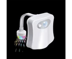 LED Toilet Disco Light