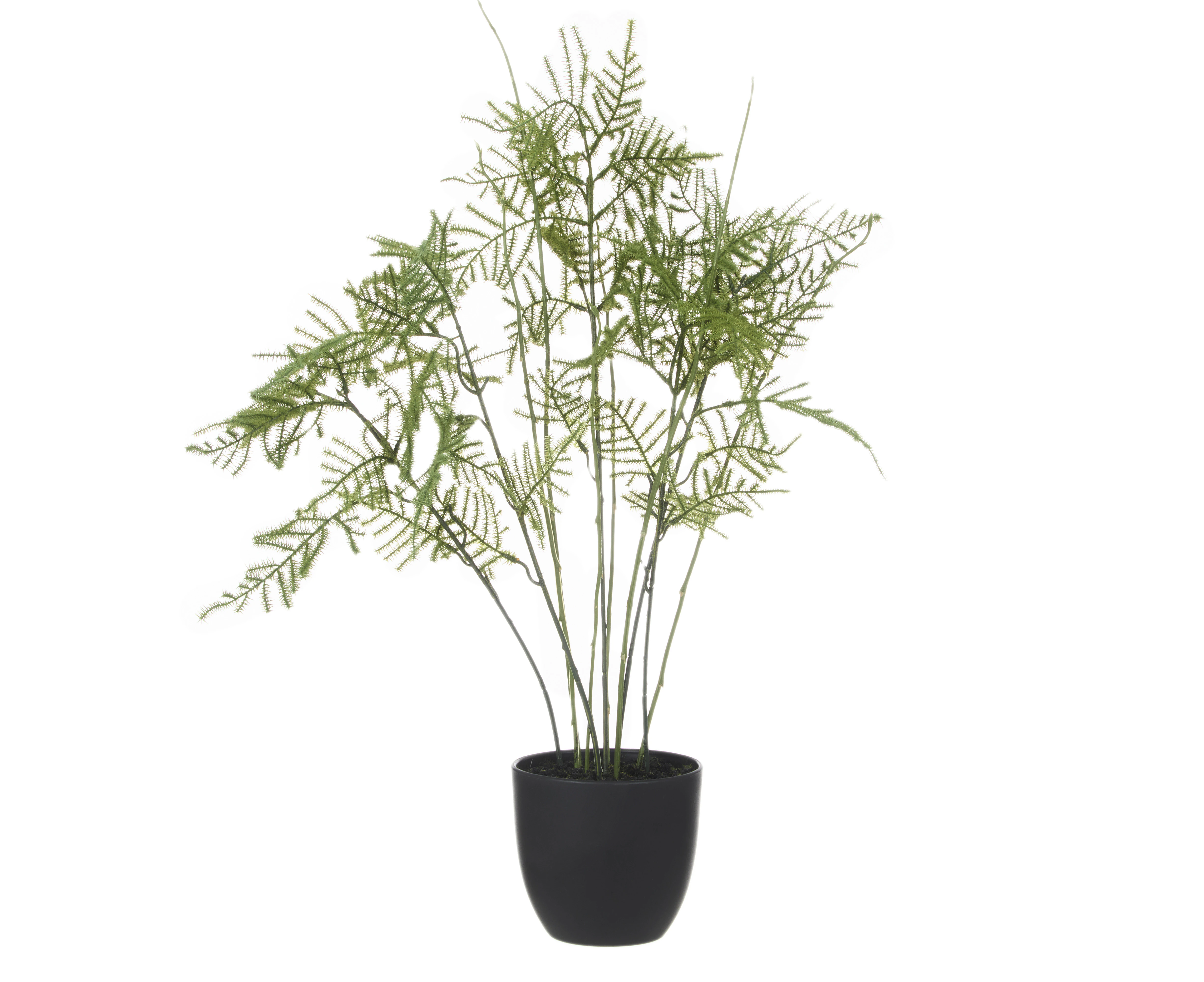 Rogue Asparagus Artificial Fern Plant in Pot Potted Plant Home Decor 39x54cm