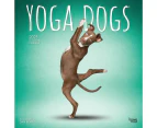 Brown Trout 2025 16-Month Calendar - Yoga Dogs