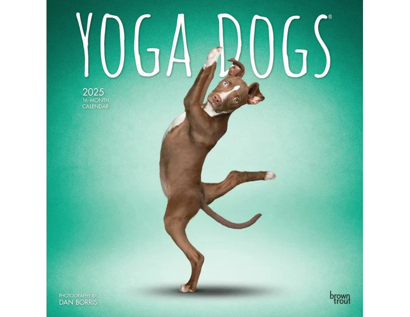 Brown Trout 2025 16-Month Calendar - Yoga Dogs