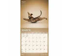 Brown Trout 2025 16-Month Calendar - Yoga Dogs