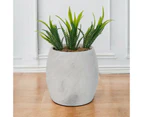 Planter Pots