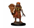 Dungeons and Dragons Premium Male Human Druid Pre-Painted Figure