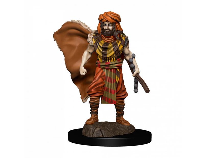 Dungeons and Dragons Premium Male Human Druid Pre-Painted Figure