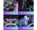 Wireless Controller for Nintendo Switch Transparent RGB, Gamepads and Joysticks for Nintendo Switch, Three RGB Modes, with Double Vibration Motor, Com