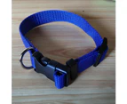 Pet supplies pet collar pet dog collar dog collar pet collar dog collar pet traction