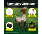 Christmas By Sas 1.2m Reindeer Glitter Wire Solar LED Warm White Auto Sensor