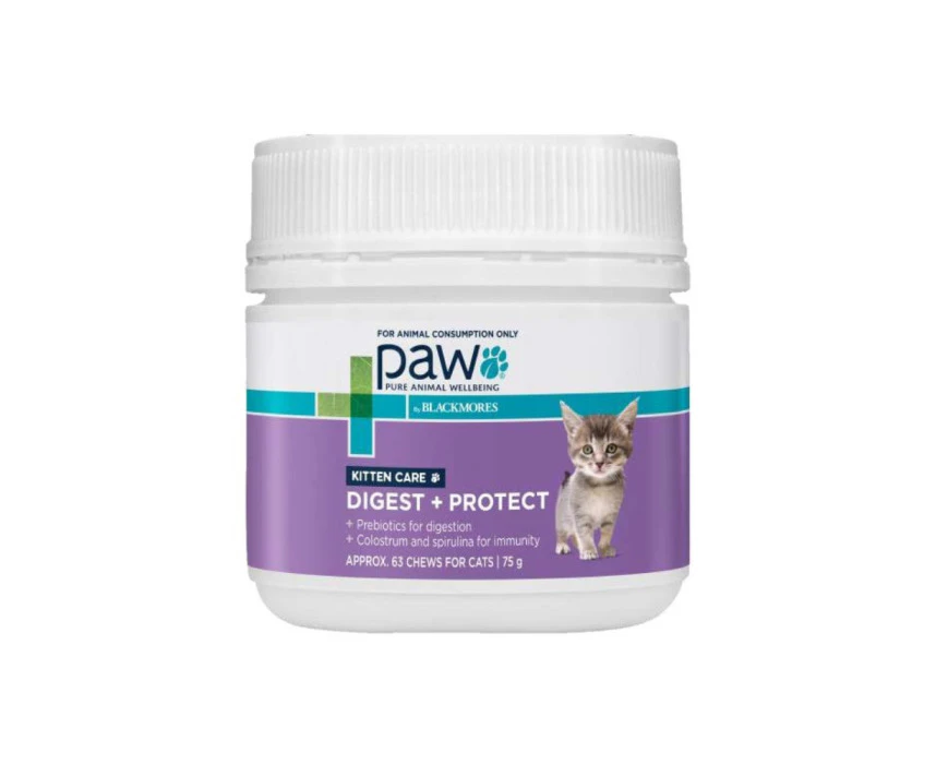 PAW Kitten Care Digest + Protect Tasty Chews for Cats 63 Pack