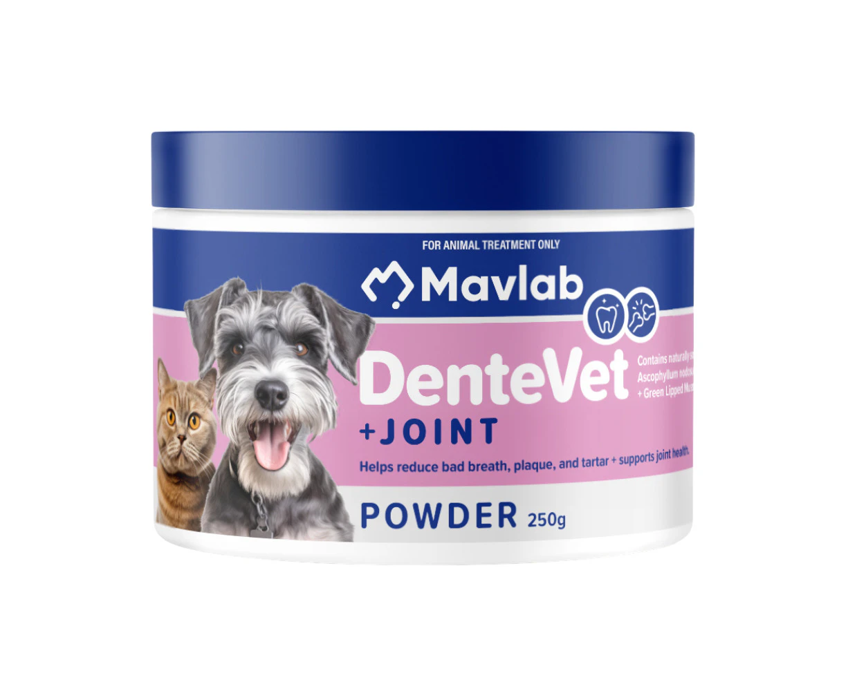 Mavlab DenteVet + Joint Powder Supplement for Dogs & Cats 250g