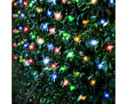 Solar Powered 150 LED Net Lights - Red, Green & White Christmas Lighting