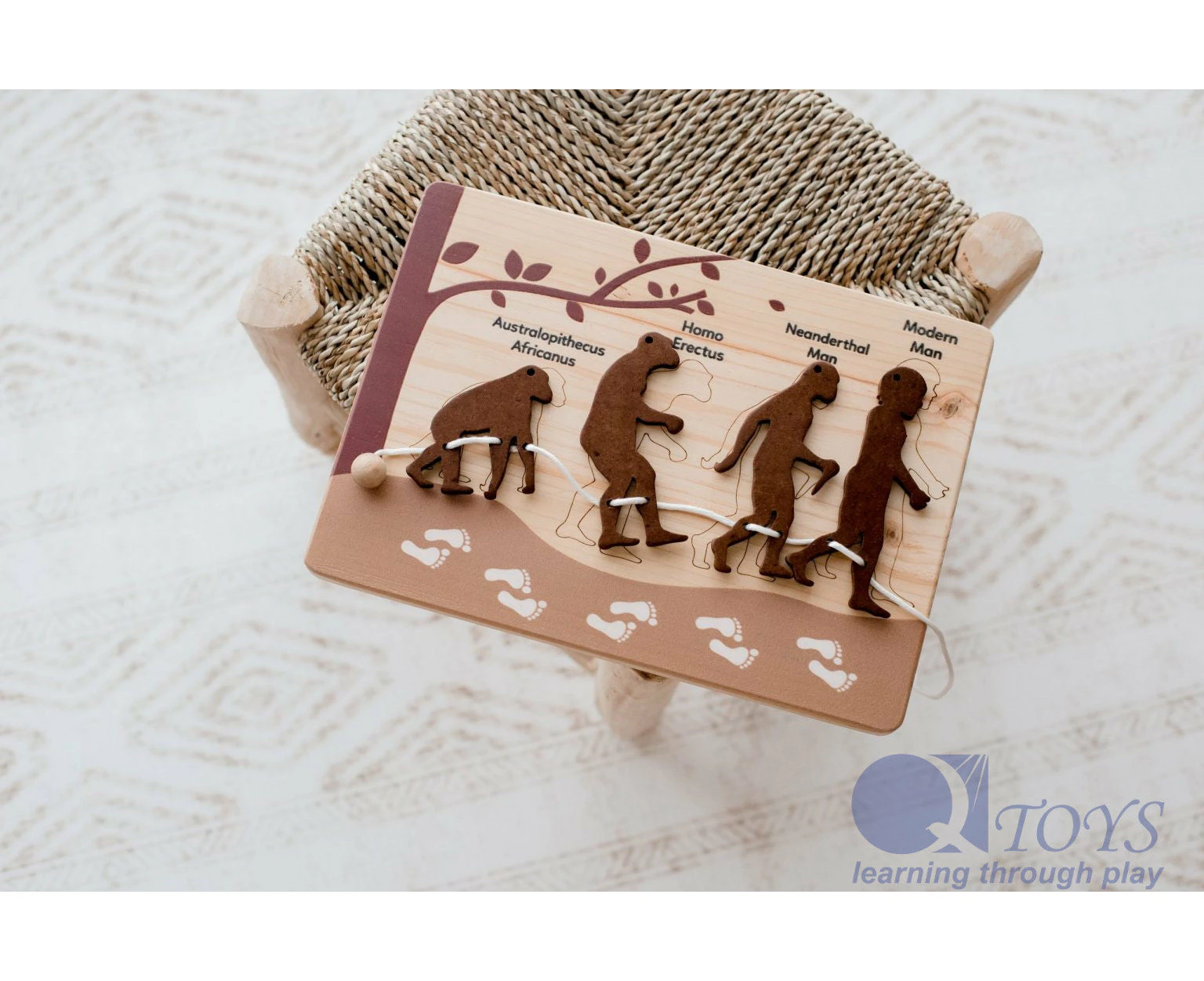 Human evolution puzzle and lacing set