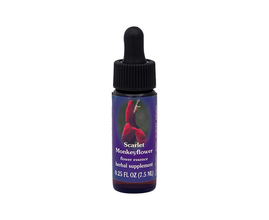 Fes Flower Essences FES Organic Quintessentials Flower Essence Scarlet Monkeyflower 7.5ml