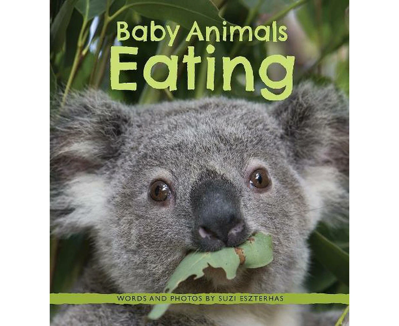 Baby Animals Eating