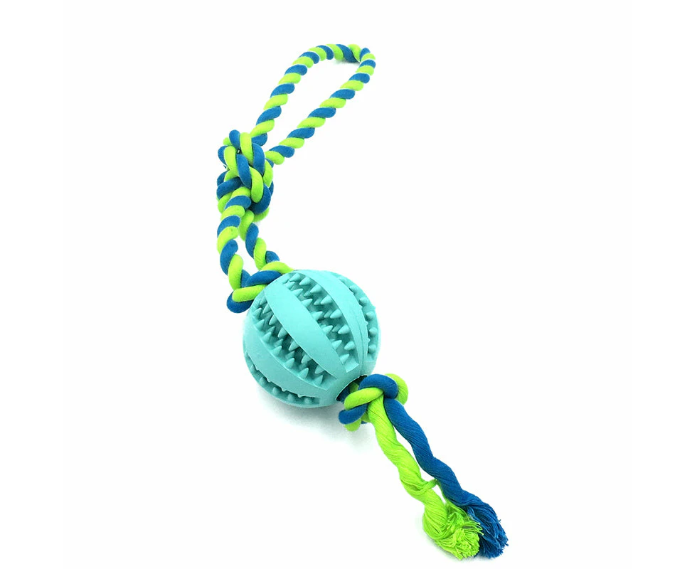 Empawrium Dog Rubber Molar Ball With Rope Interactive Puzzle Treat Ball Teeth Cleaning