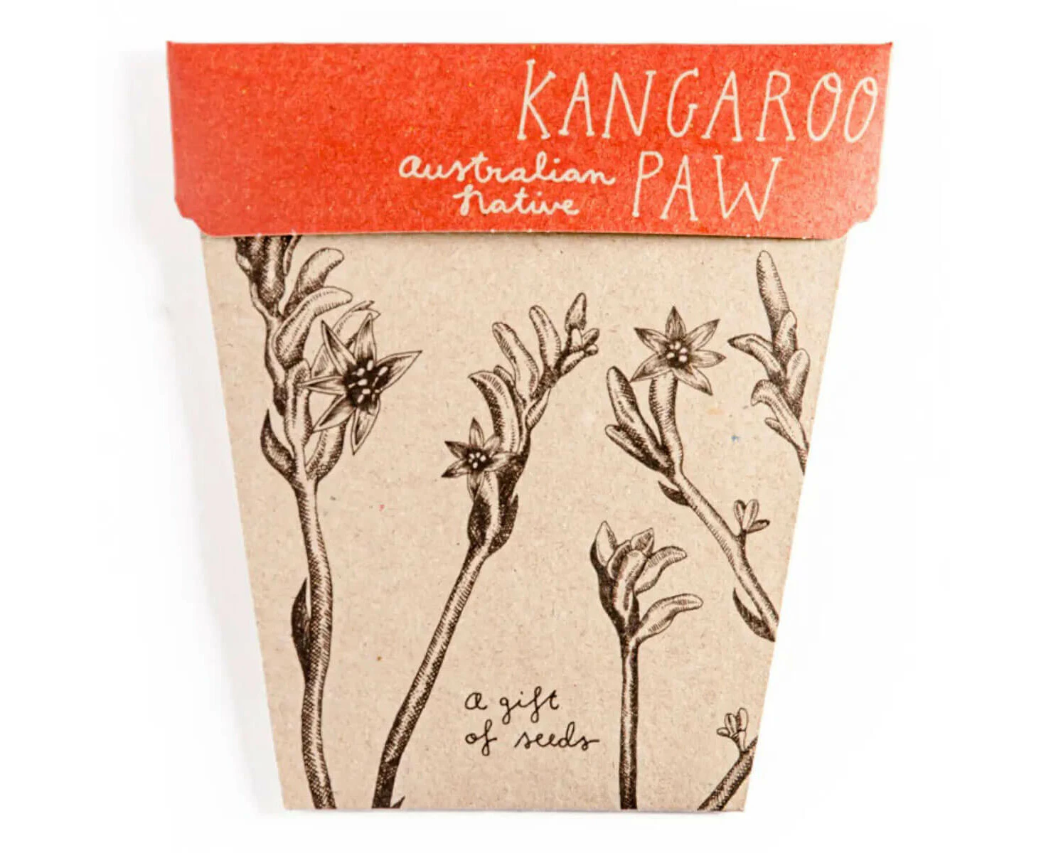 Sow 'n Sow Kangaroo Paw Gift of Seeds - Sow 'n Sow