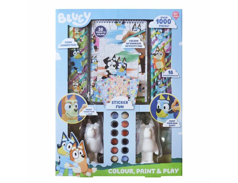 Bluey Paint and Activity Set